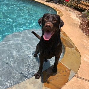 Meet your Posher, Rochelle